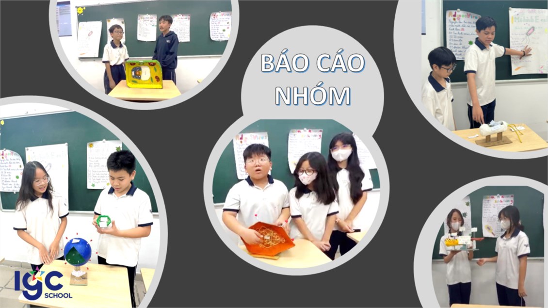 Ảnh đại diện
